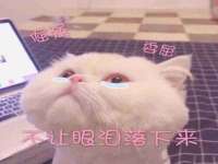 山东比淘网络科技有限公司