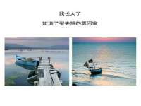山东比淘网络科技有限公司