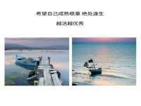山东比淘网络科技有限公司