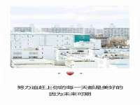 山东比淘网络科技有限公司