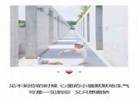 山东比淘网络科技有限公司
