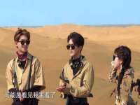 山东比淘网络科技有限公司