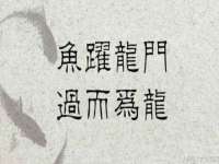 山东比淘网络科技有限公司
