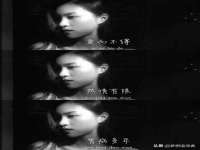 山东比淘网络科技有限公司