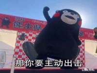 山东比淘网络科技有限公司