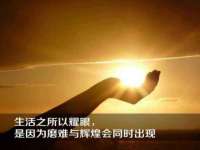 山东比淘网络科技有限公司