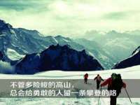 山东比淘网络科技有限公司