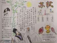 山东比淘网络科技有限公司