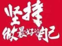 山东比淘网络科技有限公司