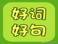 山东比淘网络科技有限公司