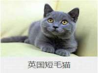 山东比淘网络科技有限公司