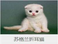 山东比淘网络科技有限公司