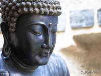 山东比淘网络科技有限公司