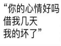 山东比淘网络科技有限公司