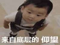 山东比淘网络科技有限公司