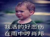 山东比淘网络科技有限公司