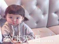 山东比淘网络科技有限公司