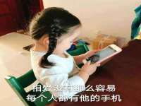 山东比淘网络科技有限公司
