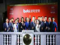 山东比淘网络科技有限公司