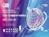 山东比淘网络科技有限公司