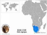 山东比淘网络科技有限公司