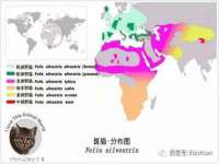 山东比淘网络科技有限公司