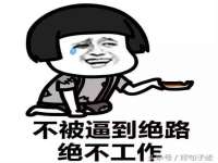 山东比淘网络科技有限公司