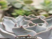 山东比淘网络科技有限公司