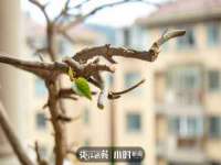 山东比淘网络科技有限公司