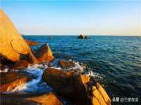 山东比淘网络科技有限公司