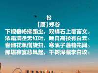 山东比淘网络科技有限公司