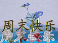 山东比淘网络科技有限公司