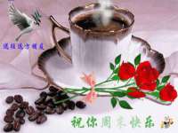 山东比淘网络科技有限公司