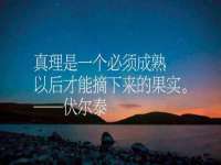 山东比淘网络科技有限公司