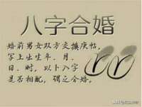 山东比淘网络科技有限公司