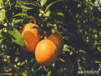 山东比淘网络科技有限公司