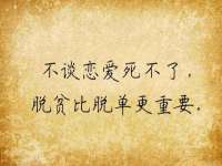山东比淘网络科技有限公司
