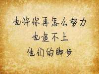 山东比淘网络科技有限公司