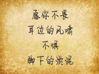 山东比淘网络科技有限公司