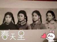 山东比淘网络科技有限公司