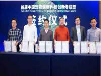 山东比淘网络科技有限公司