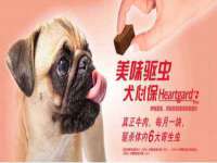 山东比淘网络科技有限公司