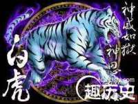 山东比淘网络科技有限公司