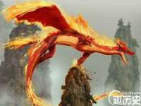 山东比淘网络科技有限公司