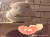 山东比淘网络科技有限公司