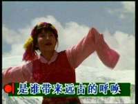 山东比淘网络科技有限公司