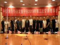 山东比淘网络科技有限公司