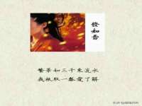 山东比淘网络科技有限公司