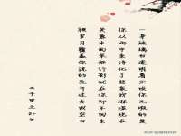 山东比淘网络科技有限公司