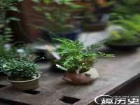 山东比淘网络科技有限公司